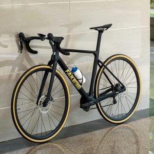 RastreBikes Paseo Generales